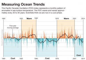 ocean trends